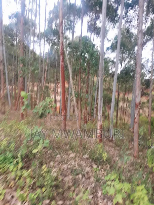4 Acres Farmland for Sale in Kalama, Machakos - 1