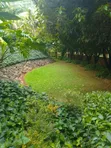 3 Bed Apartment with SQ in Riverside Drive - 1