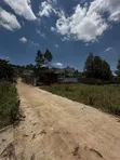 1/8 Acre Plot for Sale - Kerarapon Drive - 1