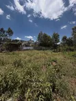 1/8 Acre Plot for Sale - Kerarapon Drive - 4