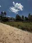 1/8 Acre Plot for Sale - Kerarapon Drive - 5