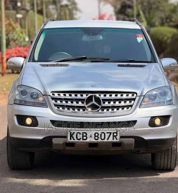 Mercedes-Benz M Class 2010 Silver - 1