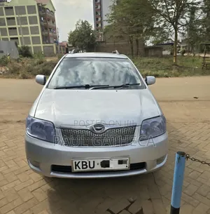 Toyota Corolla Fielder 2005 Silver