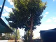 4 Bedroom Maisonette for Rent in Mugutha, Ruiru - 3