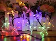 5m Multi-Colored LED Waterproof Lights - 1