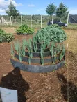 Multistorey Vertical Garden Tower - 1