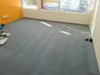 Quality 4mm Delta Wall to Wall Carpet - 2