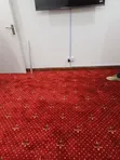 Dotted VIP Carpet - Standard 4-Meter Roll Width - 2