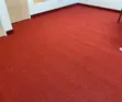 Professional 4mm Delta Carpet for Boardrooms & Reception - 2