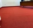 Modern Home Interiors Delta Wall to Wall Carpet (4mm) - 2