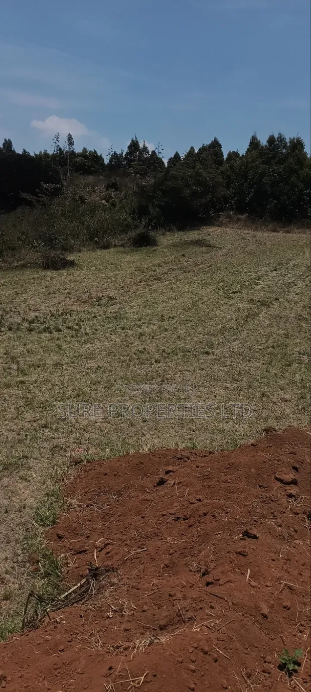 Kikuyu Kamangu Ndiguini Residential Plots - 1