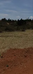 Kikuyu Kamangu Ndiguini Residential Plots - 4