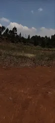 Kikuyu Kamangu Ndiguini Residential Plots - 5