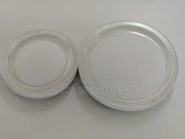 Brand New Ceiling Light with Color Changing Feature - 1