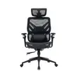 Executive Orthopedic Office Chair with 6D Armrests - 2