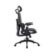 Executive Orthopedic Office Chair with 6D Armrests - 3