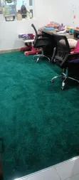 Thick & Warm Green Office Wall-to-Wall Carpets - 1