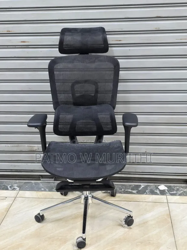Ergoflex Pro Orthopedic Mesh Office Chair with Footrest - 1