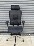 Ergoflex Pro Orthopedic Mesh Office Chair with Footrest - 1