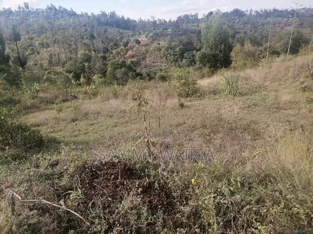 Plot for Sale in Gathitha, Murang'a - 1