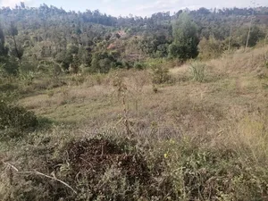 Plot for Sale in Gathitha, Murang'a
