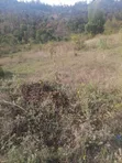 Plot for Sale in Gathitha, Murang'a - 3