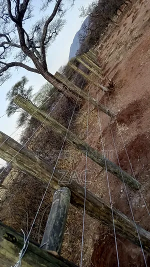 Electric Fencing Services