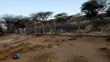Electric Fencing Services - 2