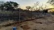 Electric Fencing Services - 3