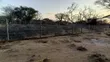 Electric Fencing Services - 4
