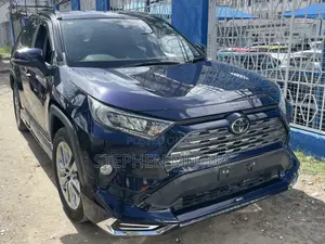 2019 Toyota RAV4 XLE Premium AWD Blue