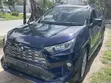 2019 Toyota RAV4 XLE Premium AWD Blue - 2
