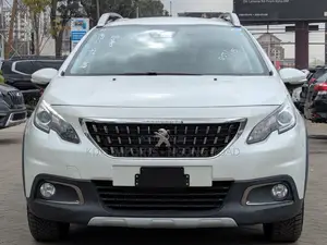 Peugeot 2008 2019 Nyeupe