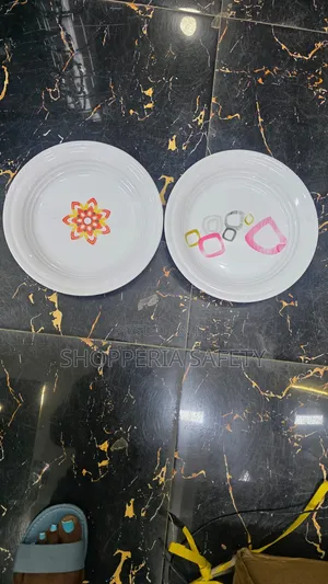6pcs Melamine Dinner Plates