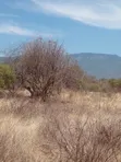 Voi 6.7 Acres Land - 1.2km from Mombasa/Nairobi Highway - 1