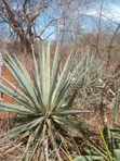 Voi 6.7 Acres Land - 1.2km from Mombasa/Nairobi Highway - 2