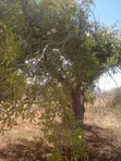 Voi 6.7 Acres Land - 1.2km from Mombasa/Nairobi Highway - 3