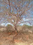 Voi 6.7 Acres Land - 1.2km from Mombasa/Nairobi Highway - 4