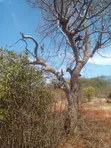 Voi 6.7 Acres Land - 1.2km from Mombasa/Nairobi Highway - 5
