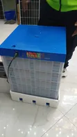 Premier Incubator Mayai 220 na Nguvu ya AC/DC - 2