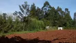 Eneo la 0.25 Ekari Linauzwa Karibu na Uwanja wa Ndege wa Kitale - 2