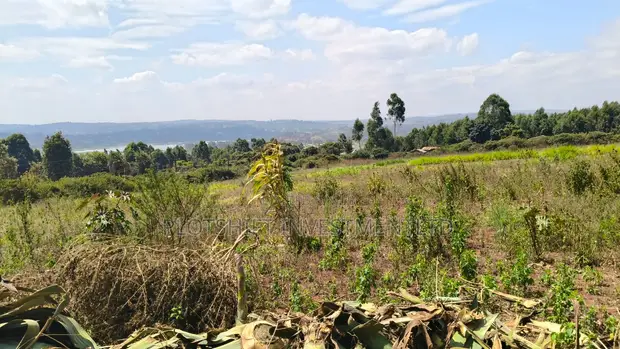 3.5 Acres Land for Sale in Gikambura - 1