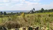 3.5 Acres Land for Sale in Gikambura - 1