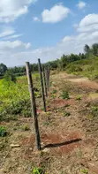 3.5 Acres Land for Sale in Gikambura - 3