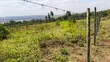 3.5 Acres Land for Sale in Gikambura - 4