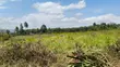 3.5 Acres Land for Sale in Gikambura - 5