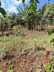 Vipande Bora vya 50x100 Vinauzwa Kikuyu, Gikambura - 2
