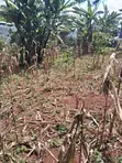 Vipande Bora vya 50x100 Vinauzwa Kikuyu, Gikambura - 4