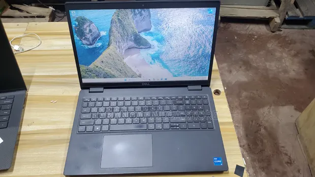 Dell Latitude 3520 Laptop - 8GB RAM, Intel Core i5, 256GB SSD - 1