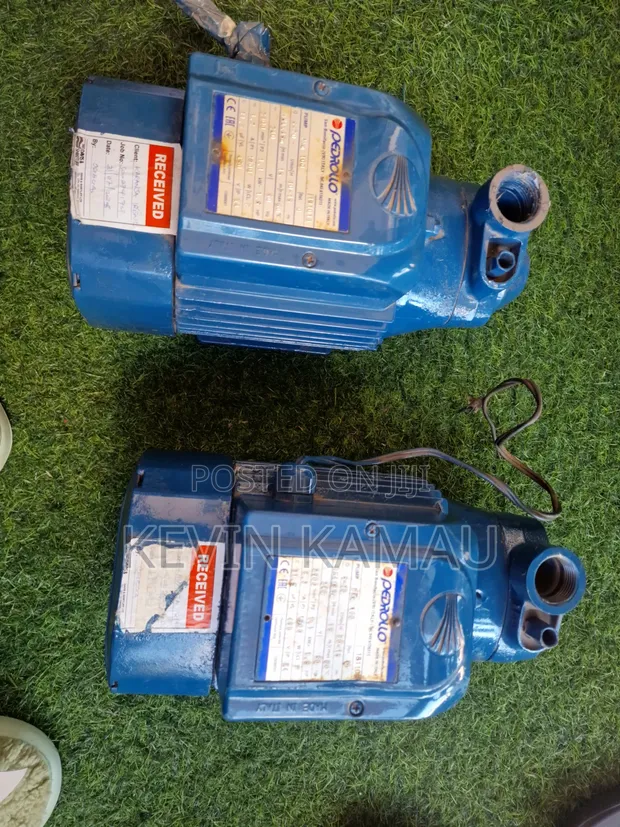 Pedrollo Irrigation Pump - 1